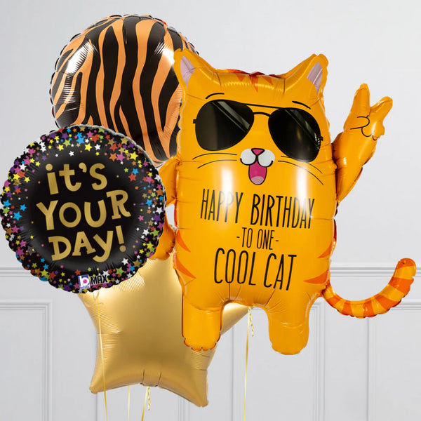 Cool Cat Birthday Vibes Inflated Balloon Package