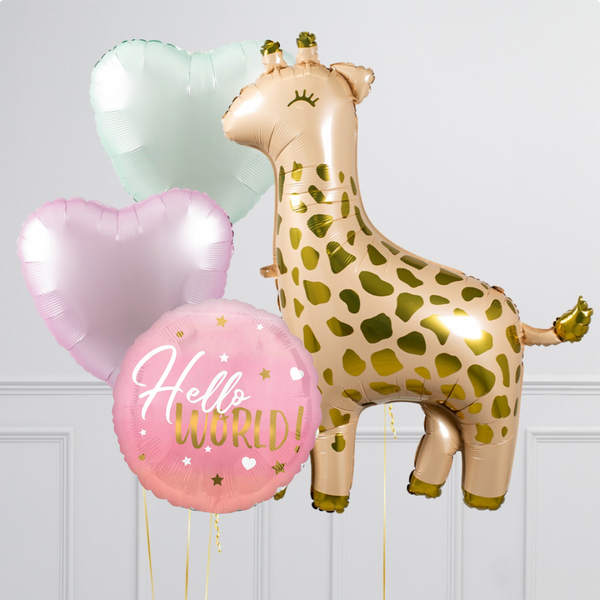 Baby Girl Giraffe Inflated Balloon Package