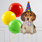 Party Dog Birthday Inflated Balloon Package